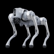 丰硕的动做姿势宇